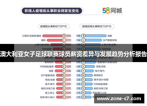 澳大利亚女子足球联赛球员薪资差异与发展趋势分析报告