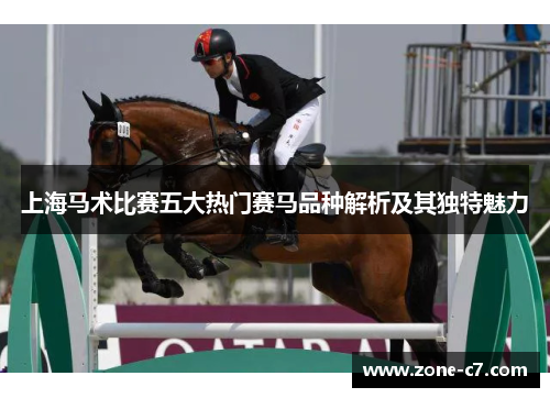 上海马术比赛五大热门赛马品种解析及其独特魅力