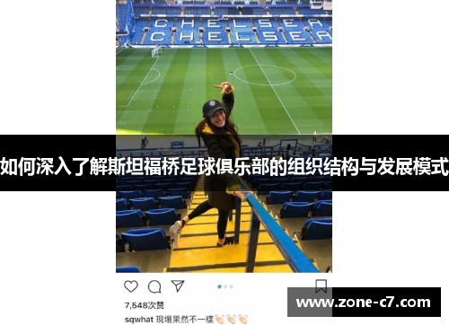 如何深入了解斯坦福桥足球俱乐部的组织结构与发展模式