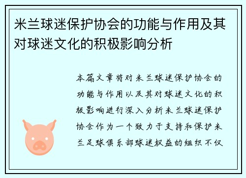 米兰球迷保护协会的功能与作用及其对球迷文化的积极影响分析